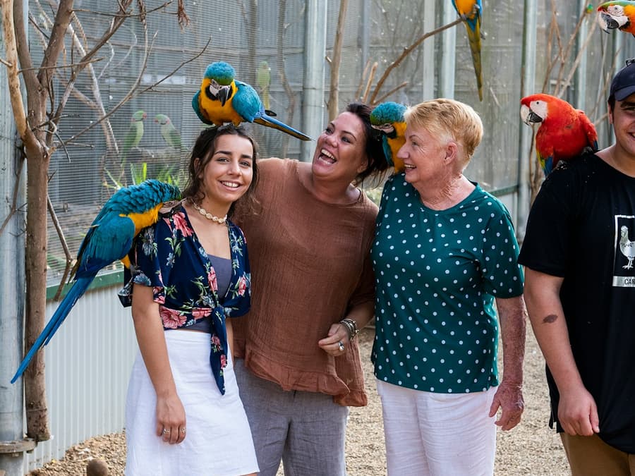Maleny Botanic Gardens & Bird World: Entry Ticket