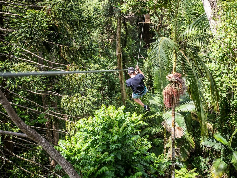 TreeTop Challenge at The Big Pineapple in Sunshine Coast