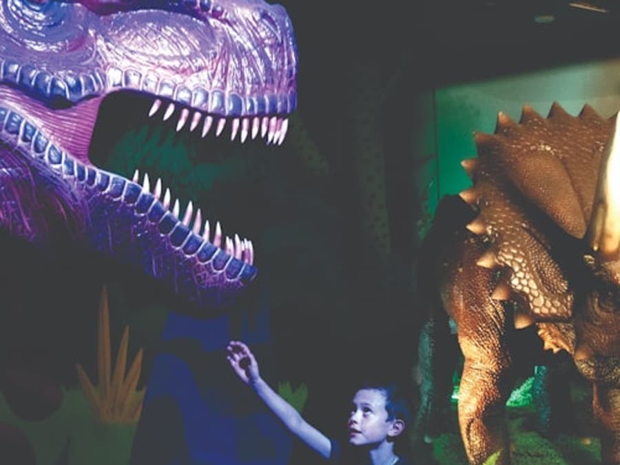 Dinosaur Outpost: Entry Ticket