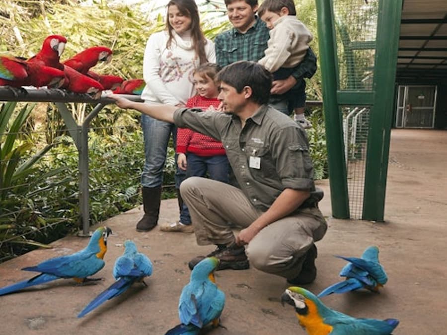 Temaikèn Zoo: Entrance & Transport from Buenos Aires