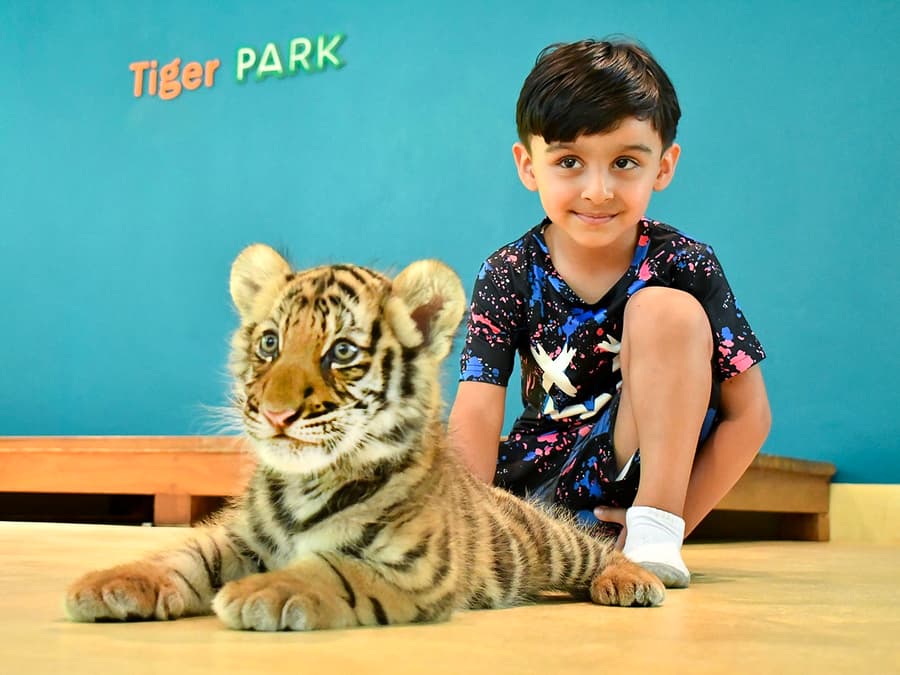 Tiger Park Tickets with Tiger Interactions