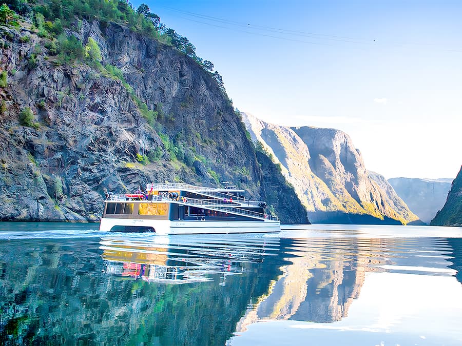 From Bergen: Nærøyfjord Cruise, Flåm, and Stegastein Guided Bus Tour