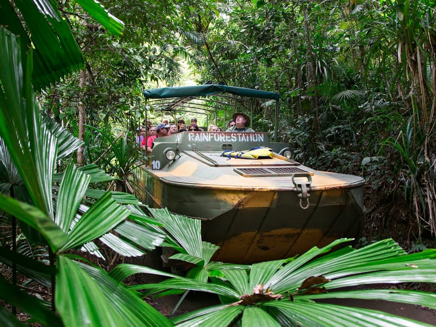 Parque Natural Rainforestation
