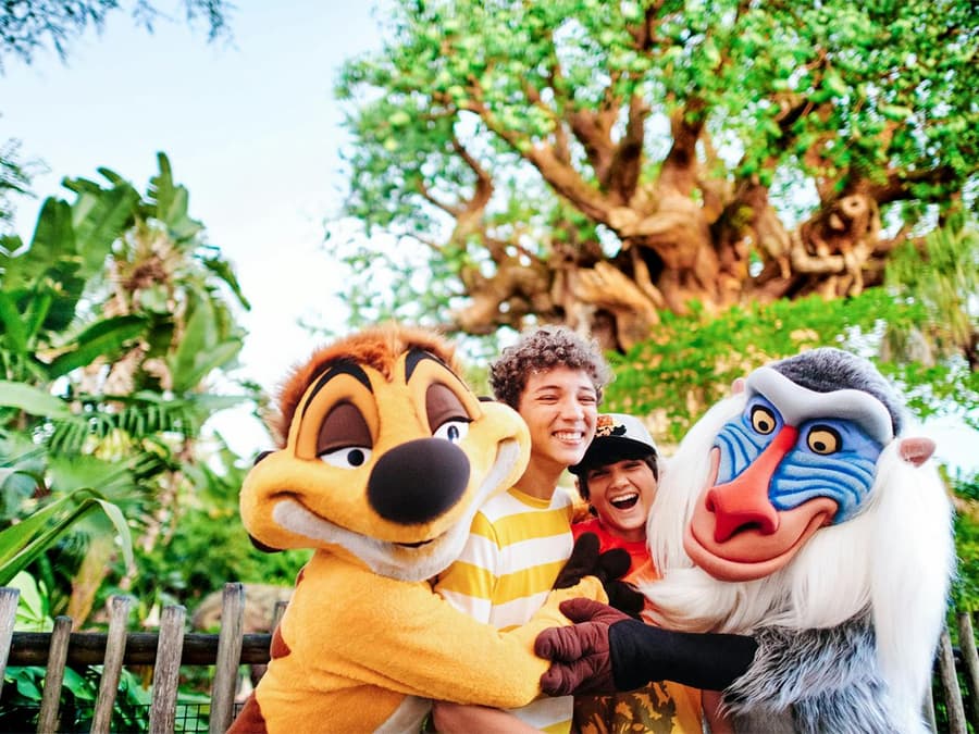 Walt Disney World Orlando Multi-Day Tickets (2-10 Days)