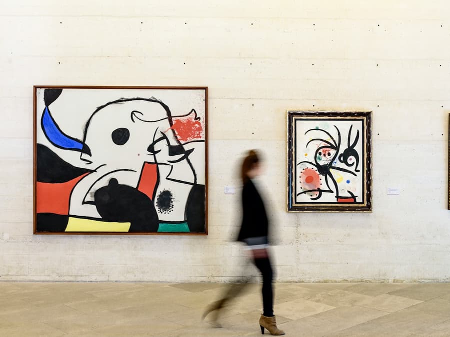 Fundació Miró Mallorca: Entry Ticket