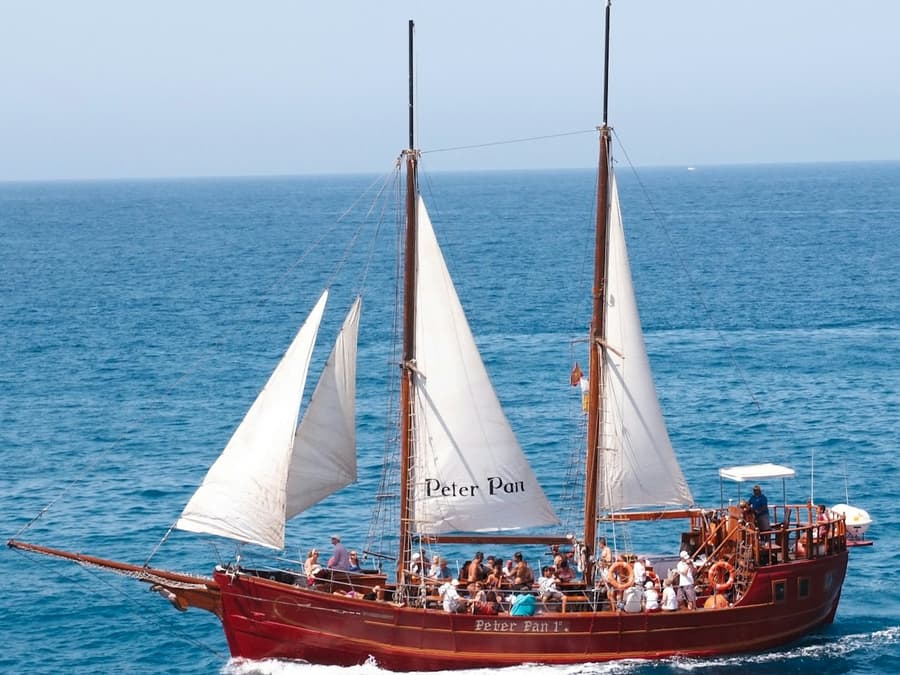 Los Cristianos: Guided Whale Watching Cruise