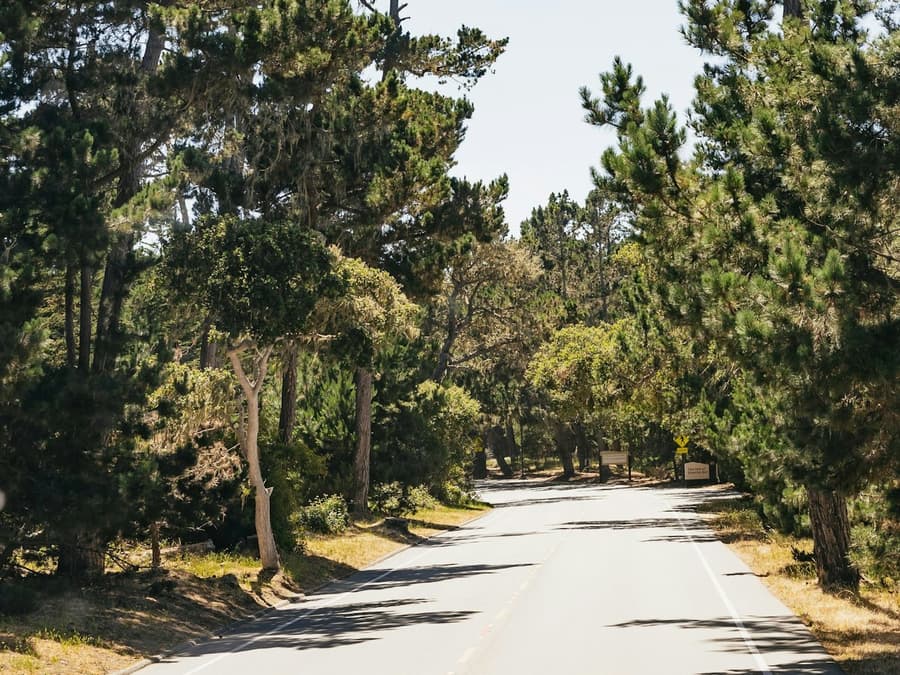 From San Francisco: Day Trip To Monterey and Carmel by the Sea