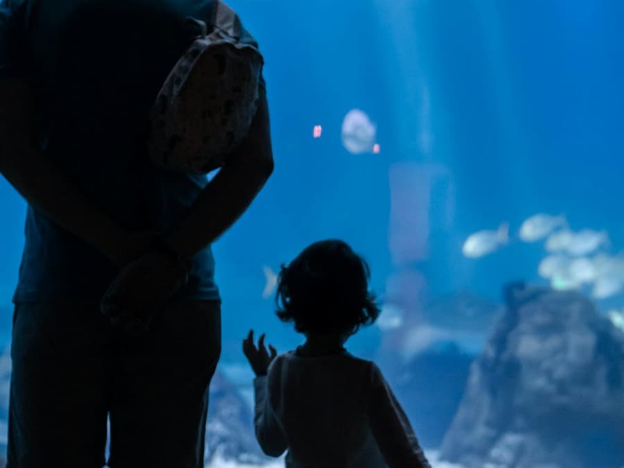 Oceanário de Lisboa: Private Guided Tour