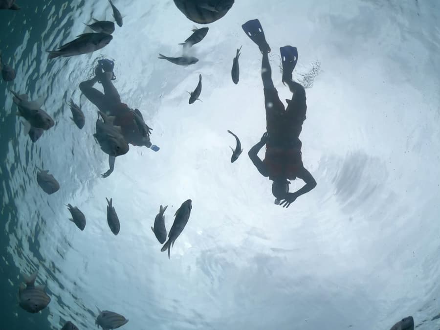 Cozumel: Glass Boat, Drinks and Snorkel Tour