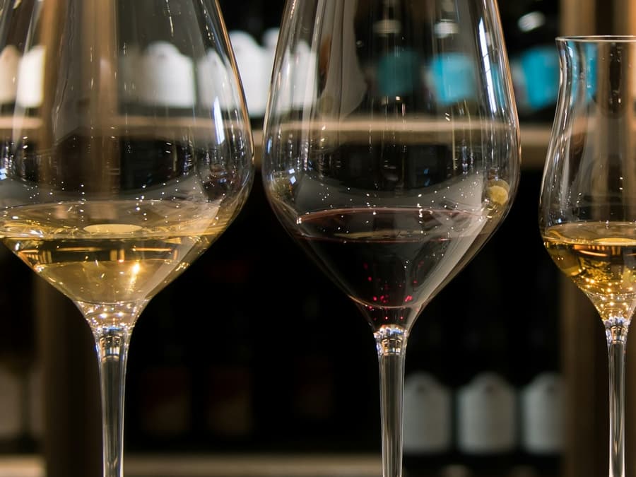 Reif Estate Winery: Premium Wine Tasting