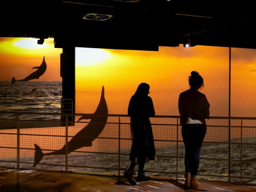 Port des Lumières: Ocean Wonders - Immersyjne nurkowanie