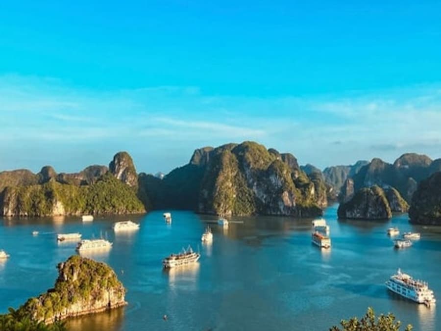 Ha Long Bay: Full-Day Guided Cruise from Hanoi with Ti Top Island + Lunch