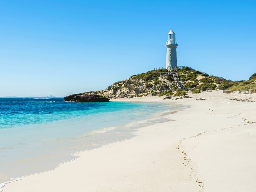 From Hillarys: Rottnest Island Return Ferry