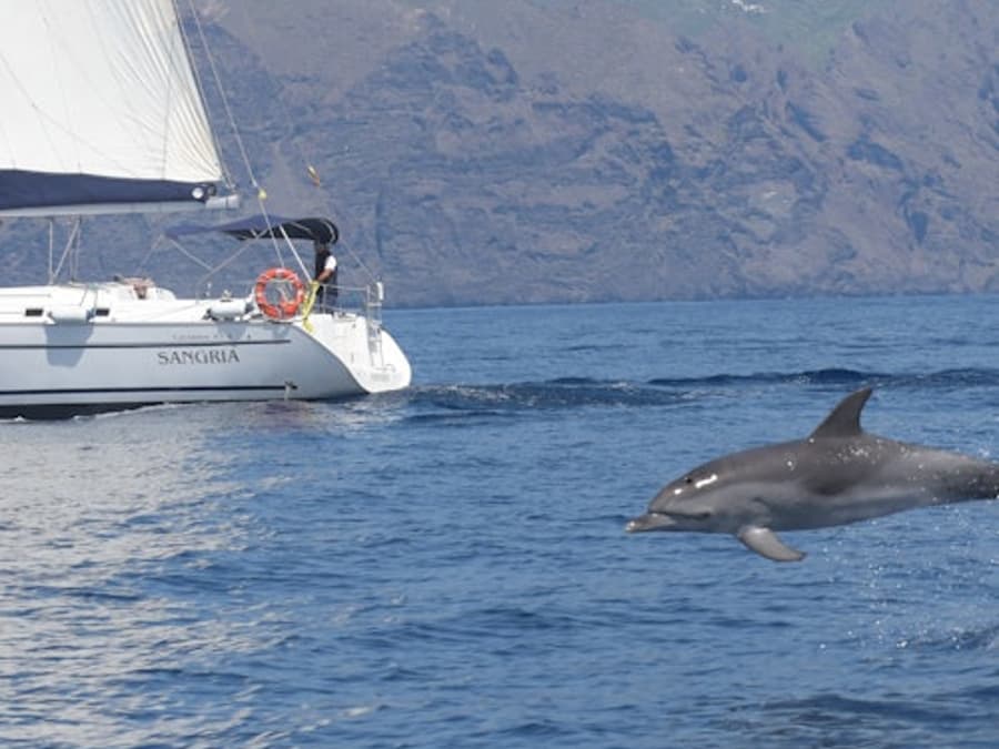 Tenerife: 3-Hour Sailing Tour to Los Gigantes with Snorkelling, Drink & Tapas