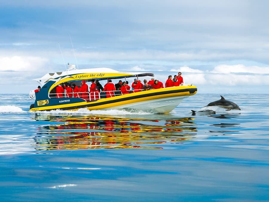 From Hobart: Bruny Island Full-Day Bus Tour with Eco Wilderness Cruise