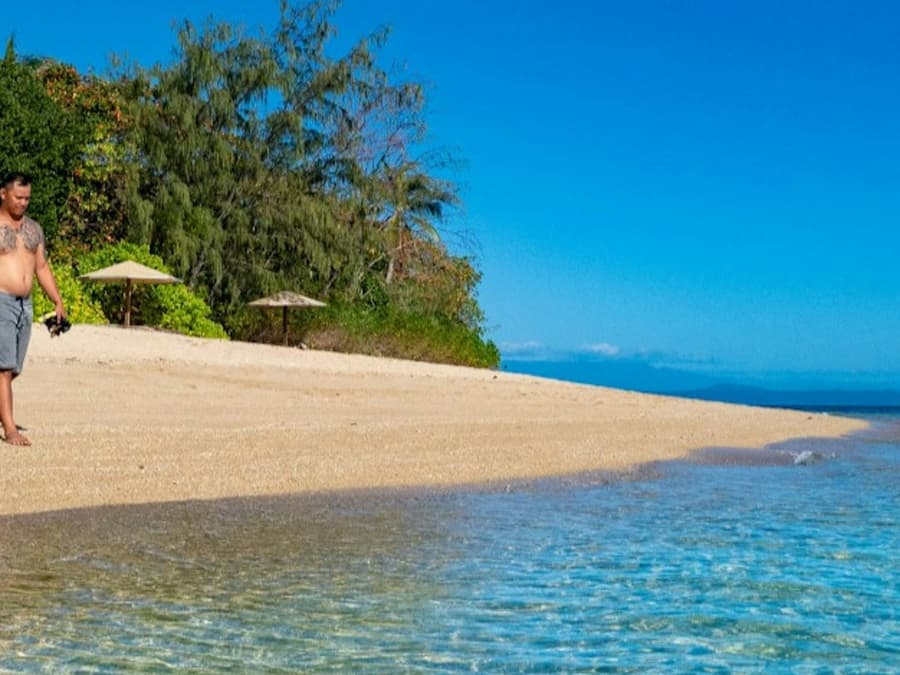 Low Isles: Guided Boat Tour from Port Douglas + Snorkelling + Tea