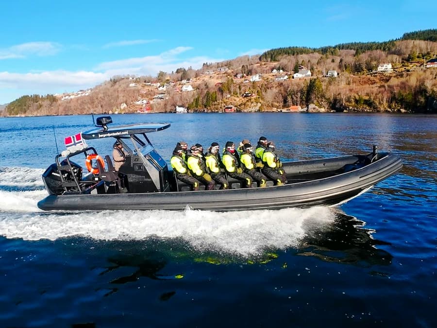 From Bergen: Alversund Fjord Premium RIB Safari