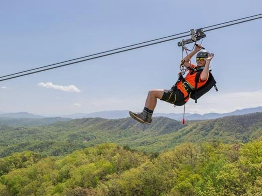 WildSide Adventure Park: Entry + MegaZip Experience