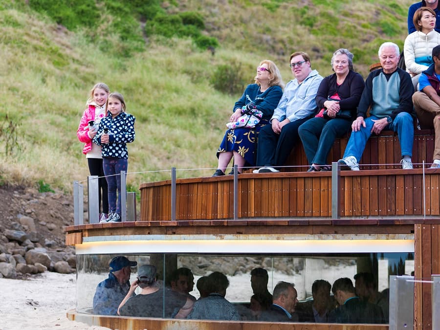 Miðar á Pílagrímsfuglasýninguna í Phillip Island Náttúrugarði