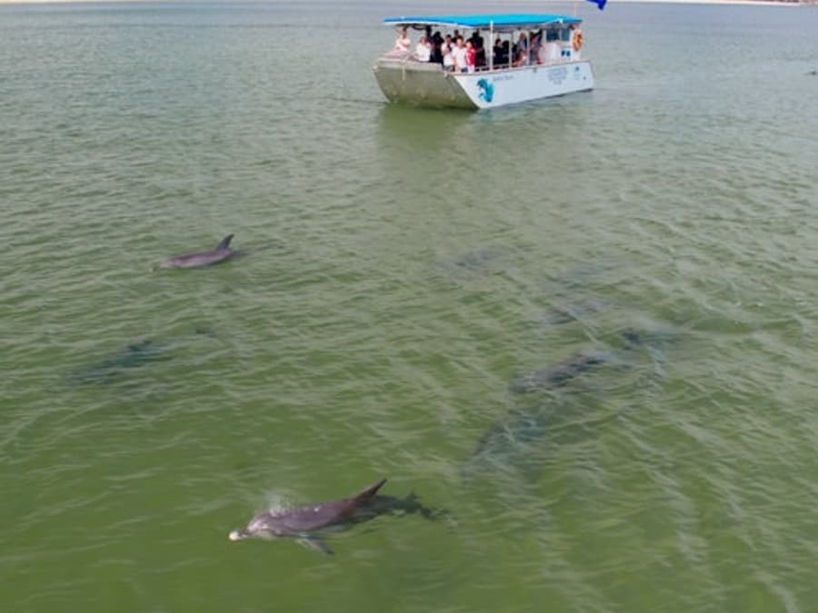 Dolphin Discovery Centre Bunbury: Eco-Cruise Tour