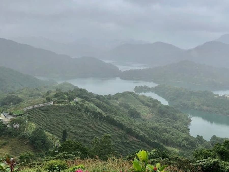 Pinglin Tea Culture & Maokong: Guided Day Tour from Taipei + Gondola Ride