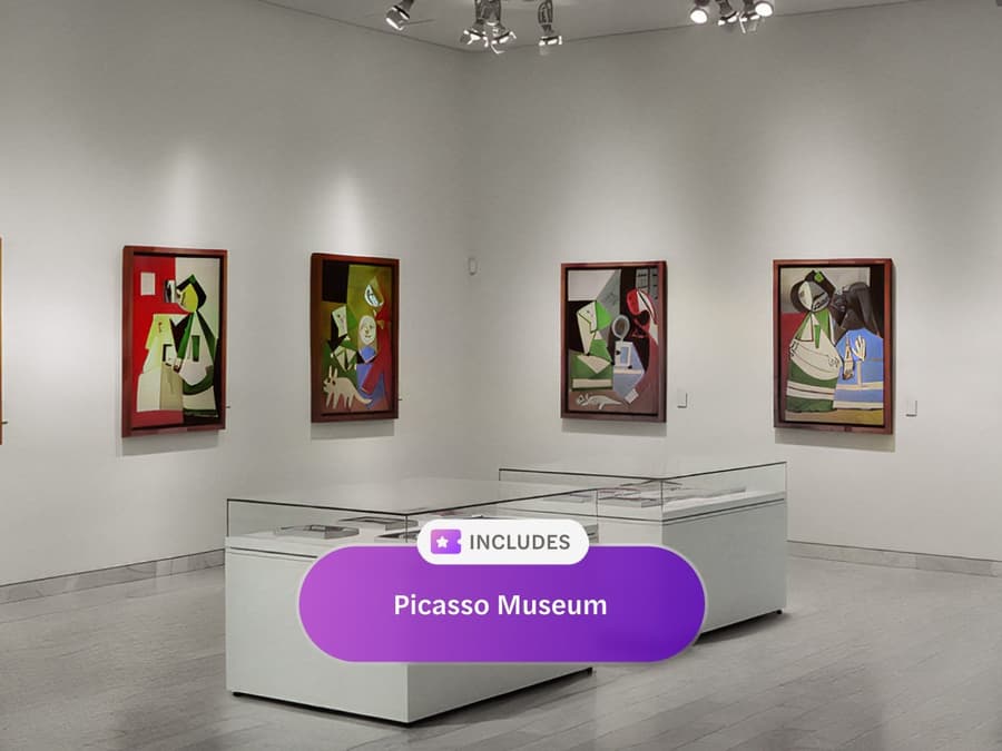 Articket Passport: Intrare la 6 Muzee cu Interval Garantat la Muzeul Picasso