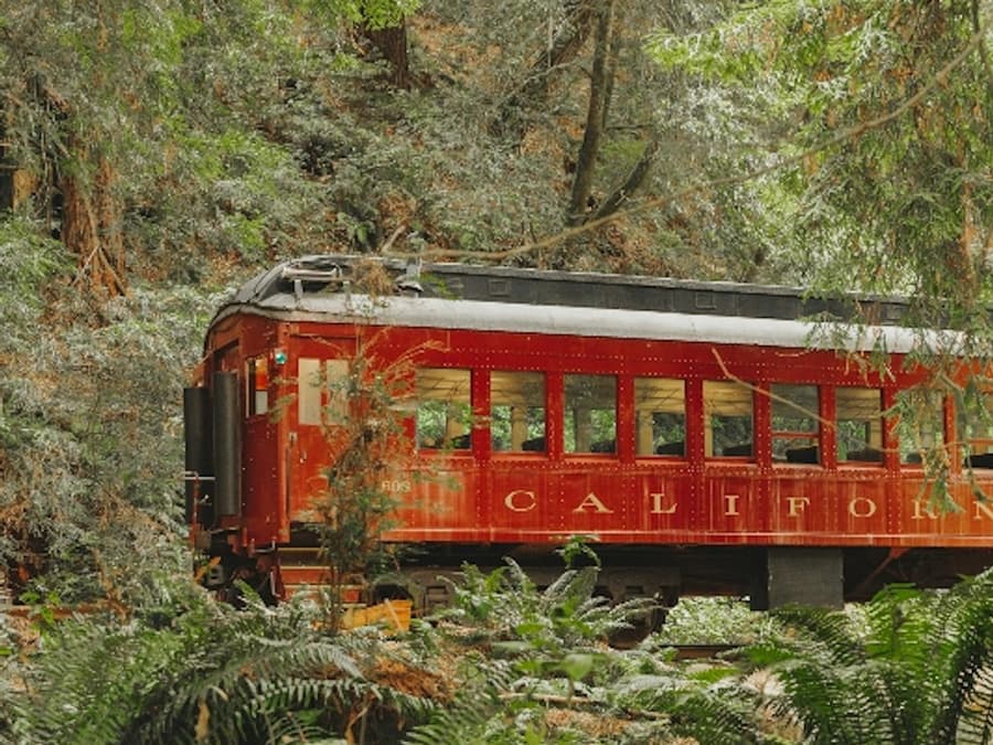 Skunk Train: Wolf Tree Turn
