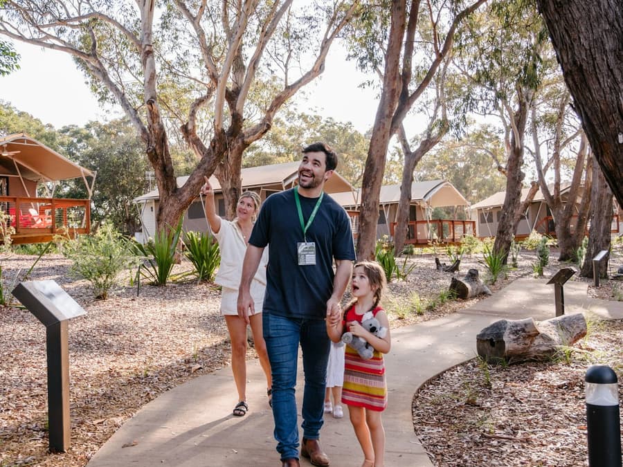 Port Stephens Koala Sanctuary