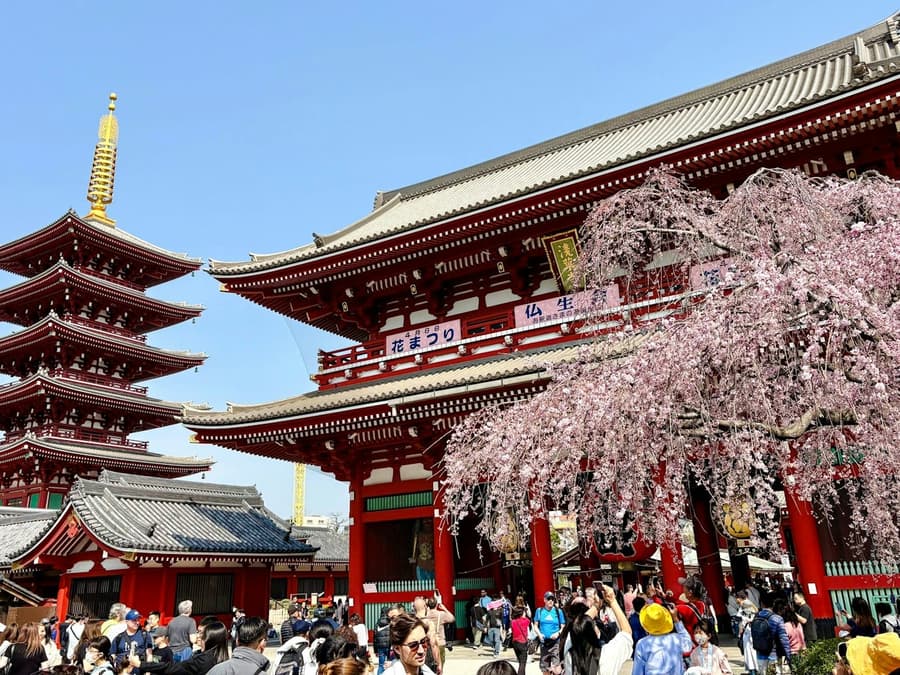 Tokyo Private Half-Day Tour in a Toyota Alphard Minivan with Local Guide