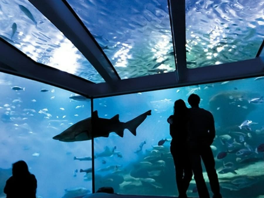 Palma Aquarium: Entry Ticket + Transfer from Cala Ratjada Area