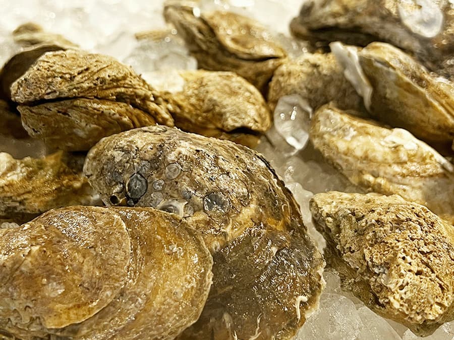 Southern And Secret Savannah: Food Tour