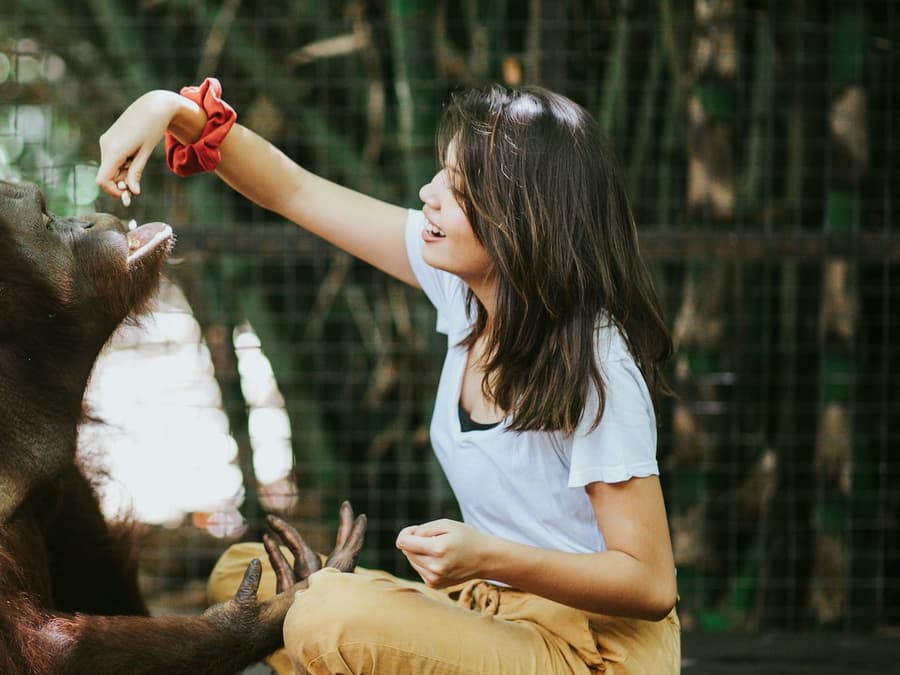 Lombok Wildlife Park: Intimate Wildlife Experience