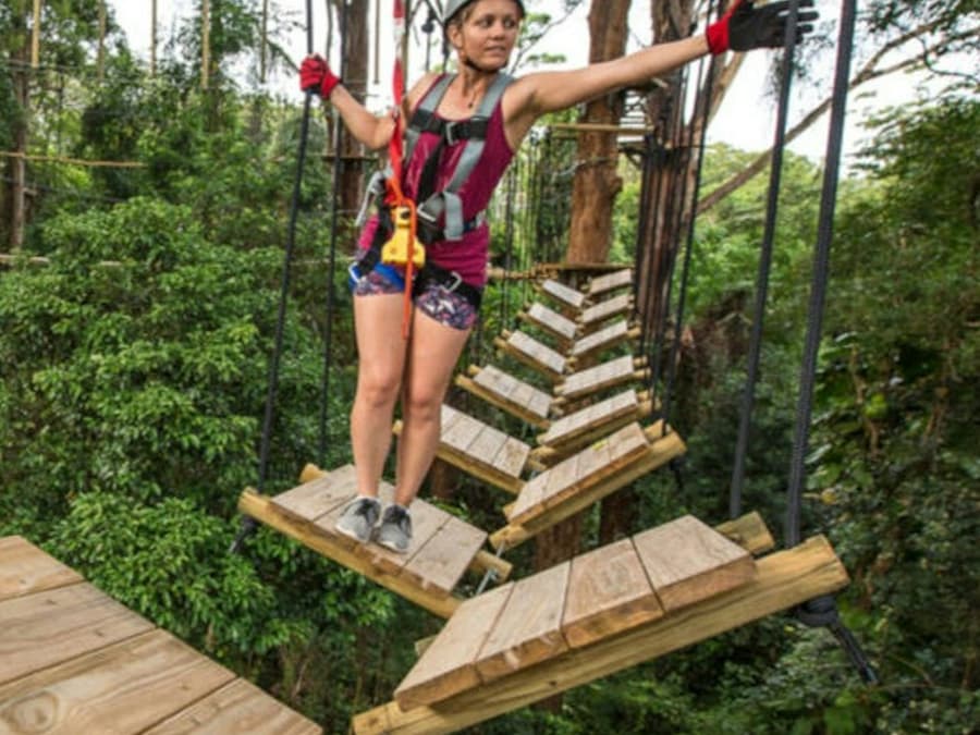 TreeTop Challenge Sunshine Coast: Admission Ticket