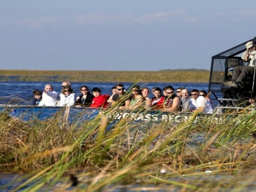 Everglades Express Tour from Fort Lauderdale + Airboat Ride