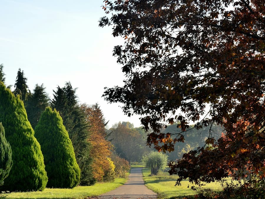 Arboretum de Chèvreloup: Entry Ticket