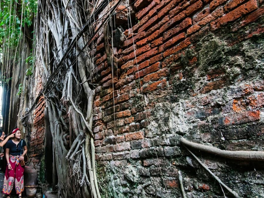 Chinatown Bangkok: Private Walking Tour + Food & Drinks