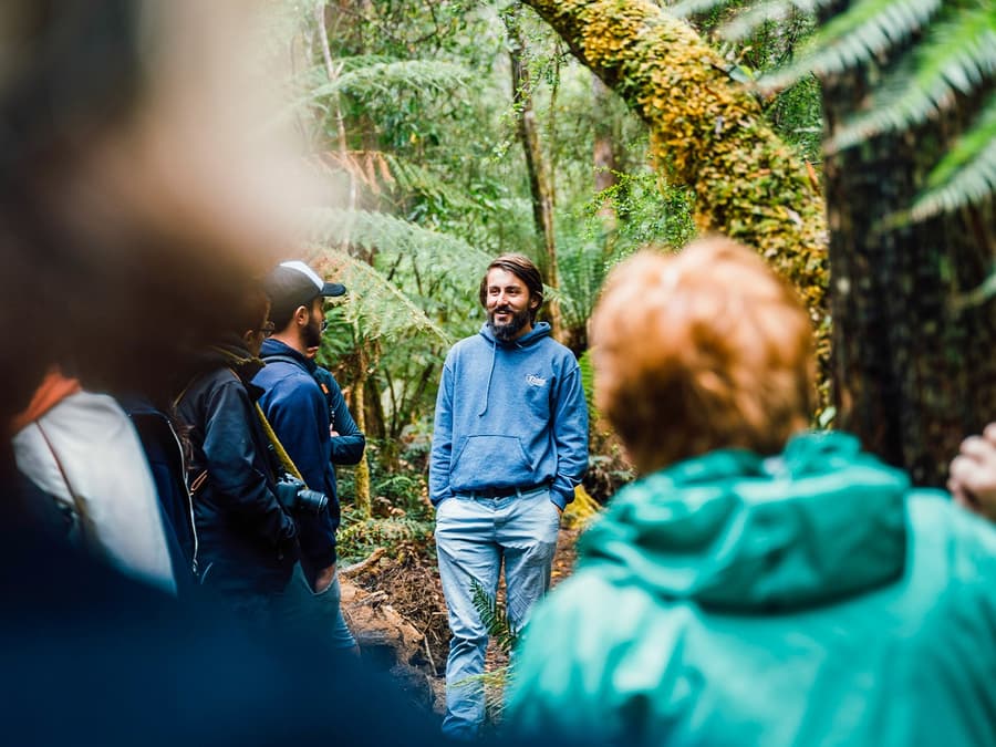 From Hobart: Bruny Island Full-Day Guided Tour