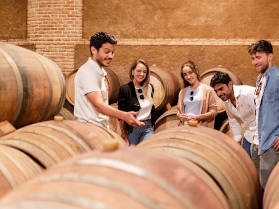 Toledo: City & Winery Tour from Madrid + Wine Tasting