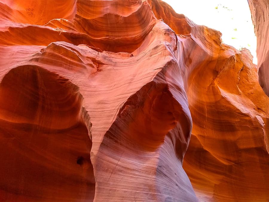 From Las Vegas: Antelope Canyon & Horseshoe Bend Tour