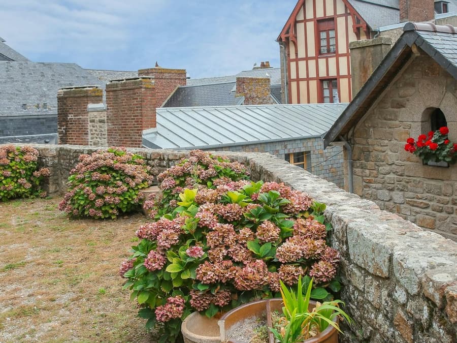 Mont Saint-Michel: Entry Ticket and Guided Tour + Transport from Paris