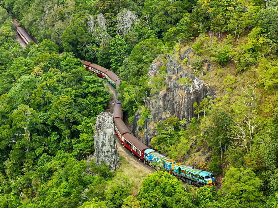 From Cairns: Scenic Train, Skyrail, & Hartley's Crocodile Adventures