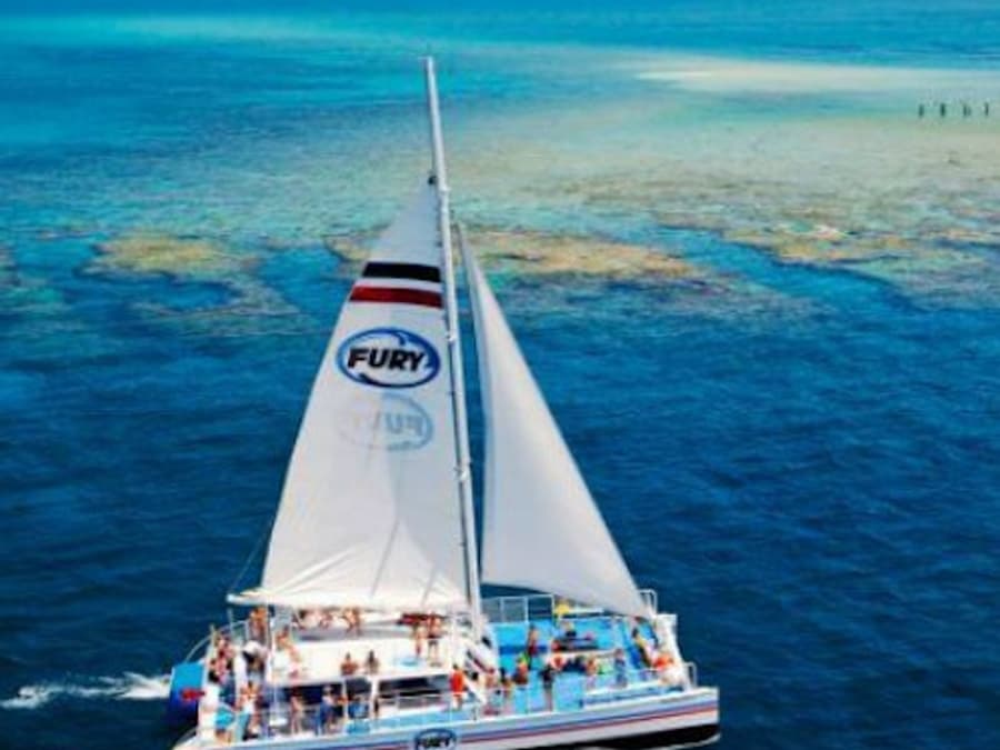 Cayo Hueso: Excursión de snorkel por el arrecife y ritas