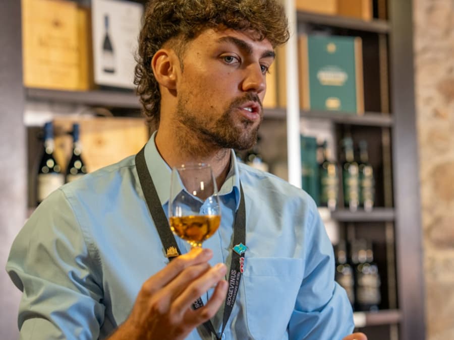 Porto City Tour Half-Day: Guided Visit with Wine Cellar and Tastings