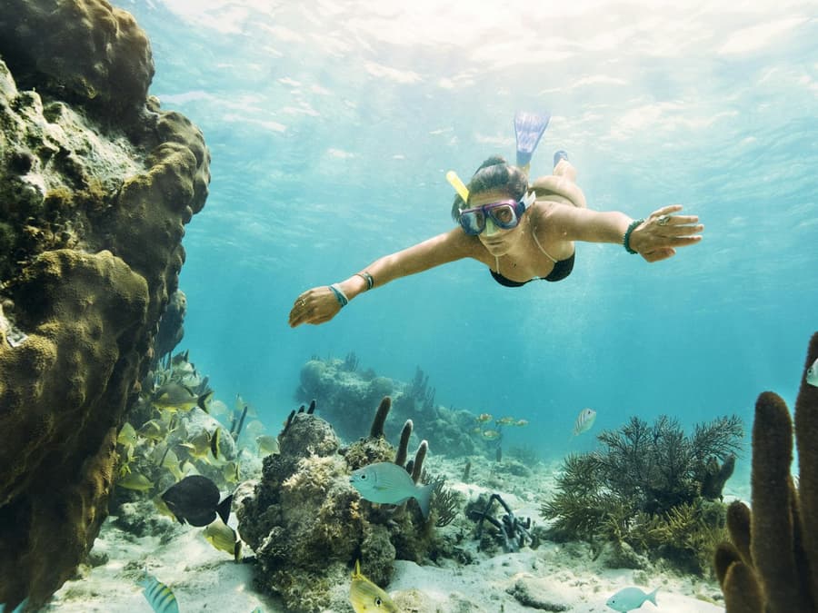 Cancún: MUSA Underwater Museum, Jungle Speedboat & Snorkel Tour