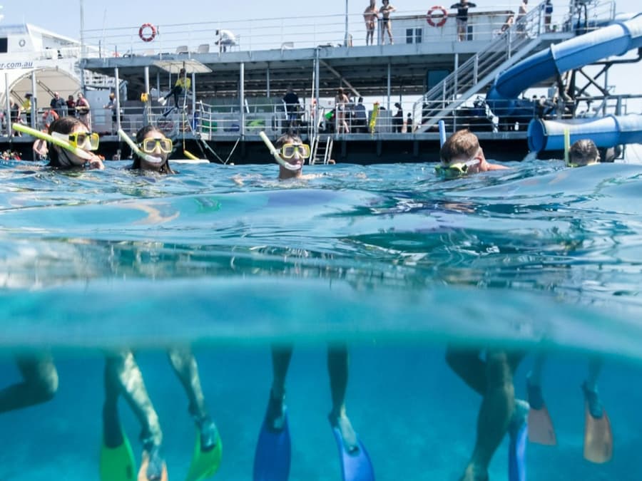 Moore Reef: Pontoon Tour from Cairns + Lunch + Snorkeling
