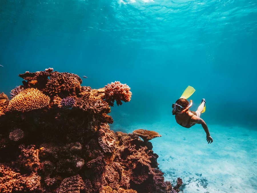 From Cairns: Dreamtime Dive & Snorkel Experience Tickets