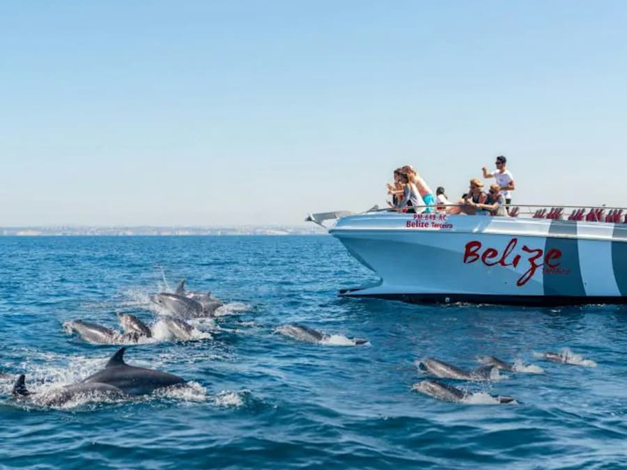 Benagil & Dolphin Watching: Catamaran Tour from Albufeira