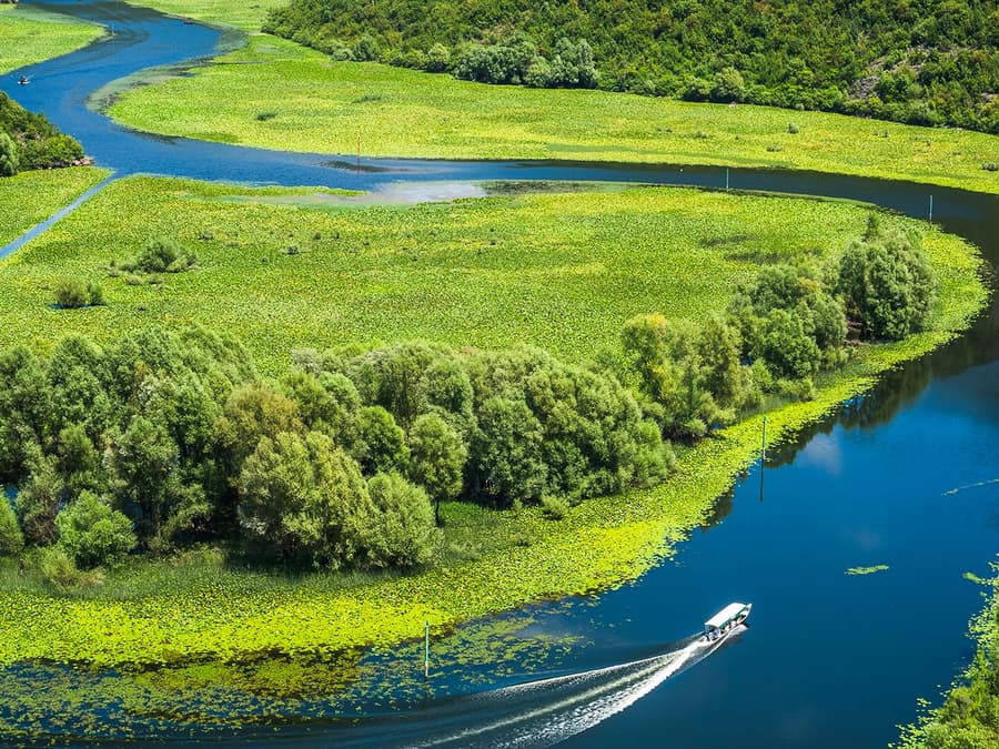 From Kotor/Budva/Tivat/Herceg Novi: Lake Skadar & Biograd Day Trip with Boat Ride