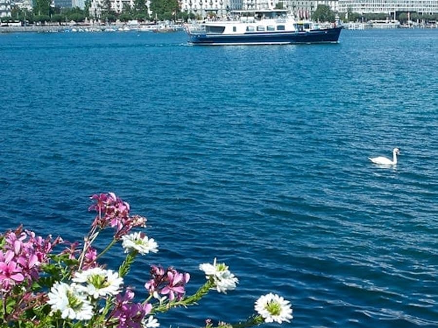 Geneva Boat Tour