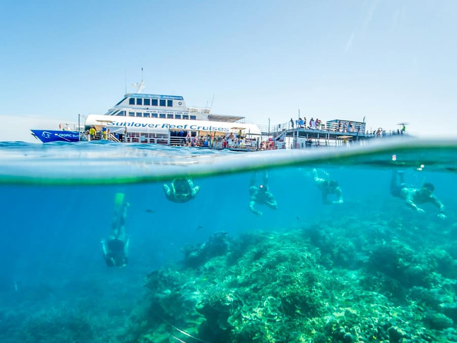 Cairns to Great Barrier Reef Snorkel Cruise with Pontoon Activities and Lunch by Sunlover